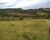 Chácara, 3 hectares - Foto 4