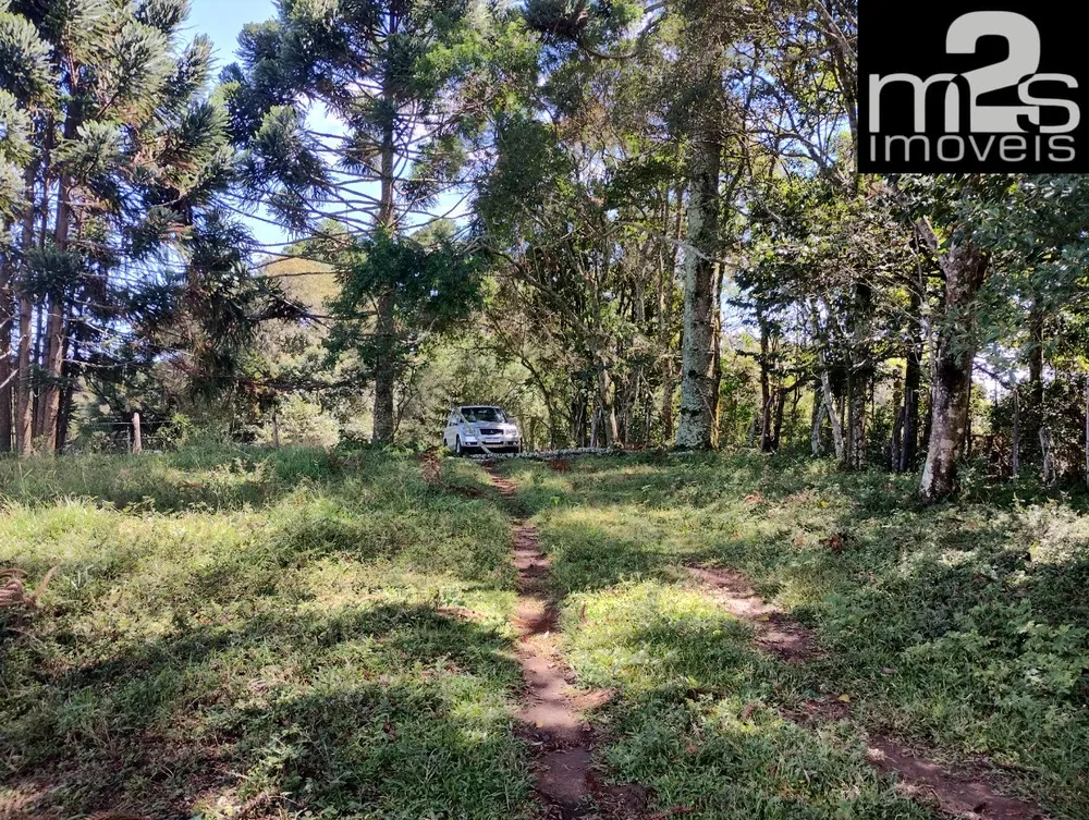 Chácara, 2 hectares - Foto 8