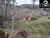 Chácara, 2 hectares - Foto 4