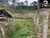 Chácara, 2 hectares - Foto 8