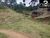 Chácara, 2 hectares - Foto 1