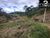 Chácara, 2 hectares - Foto 6