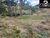 Chácara, 2 hectares - Foto 3