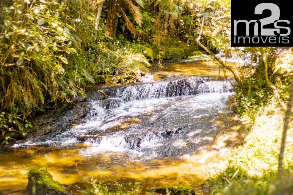 Sítio, 3 quartos - Foto 1