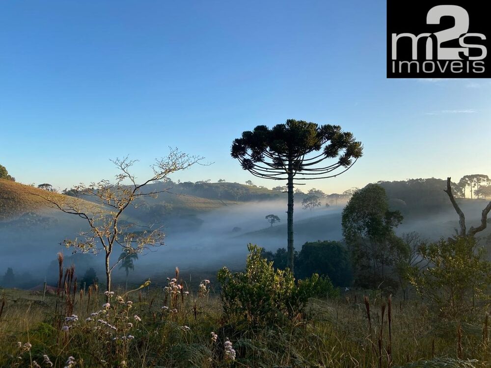 Sítio, 3 quartos - Foto 2