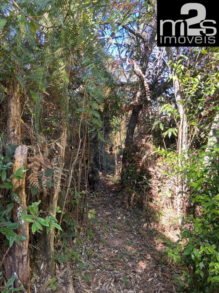 Sítio, 3 quartos - Foto 52