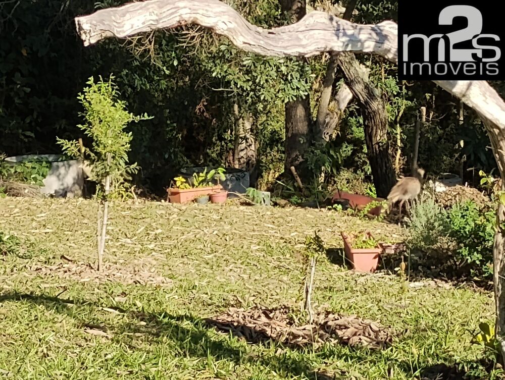 Sítio, 3 quartos - Foto 12