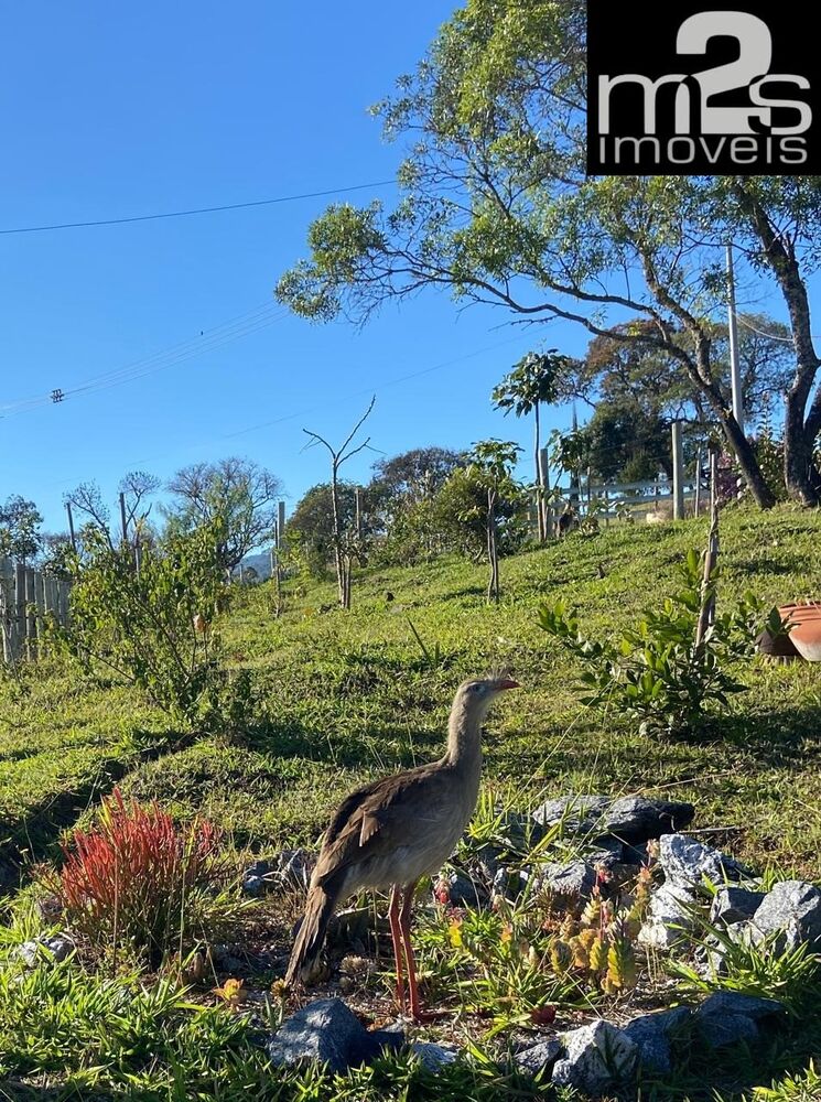 Sítio, 3 quartos - Foto 11