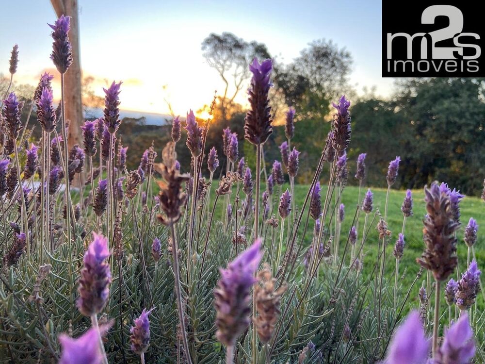 Sítio, 3 quartos - Foto 8