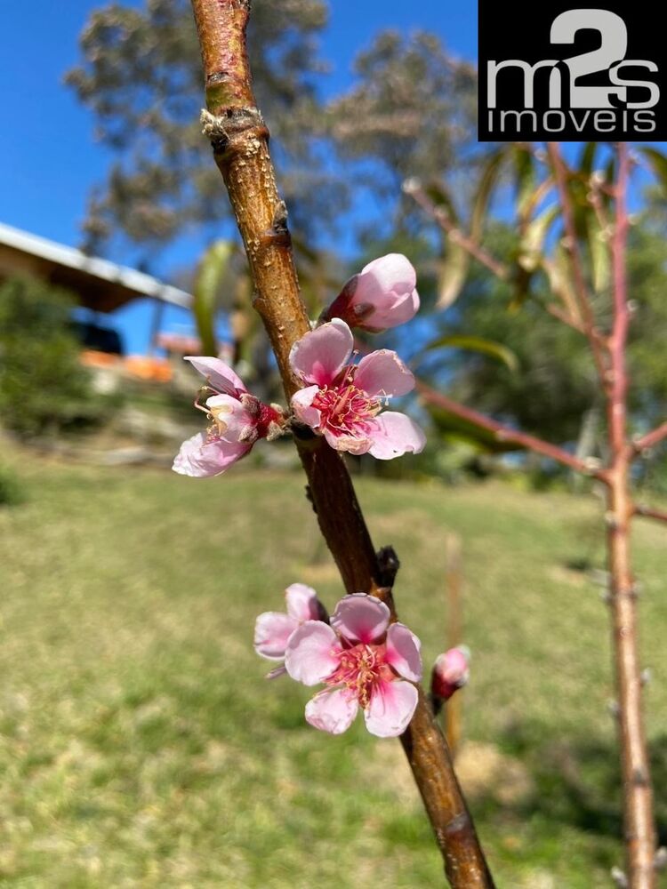 Sítio, 3 quartos - Foto 10