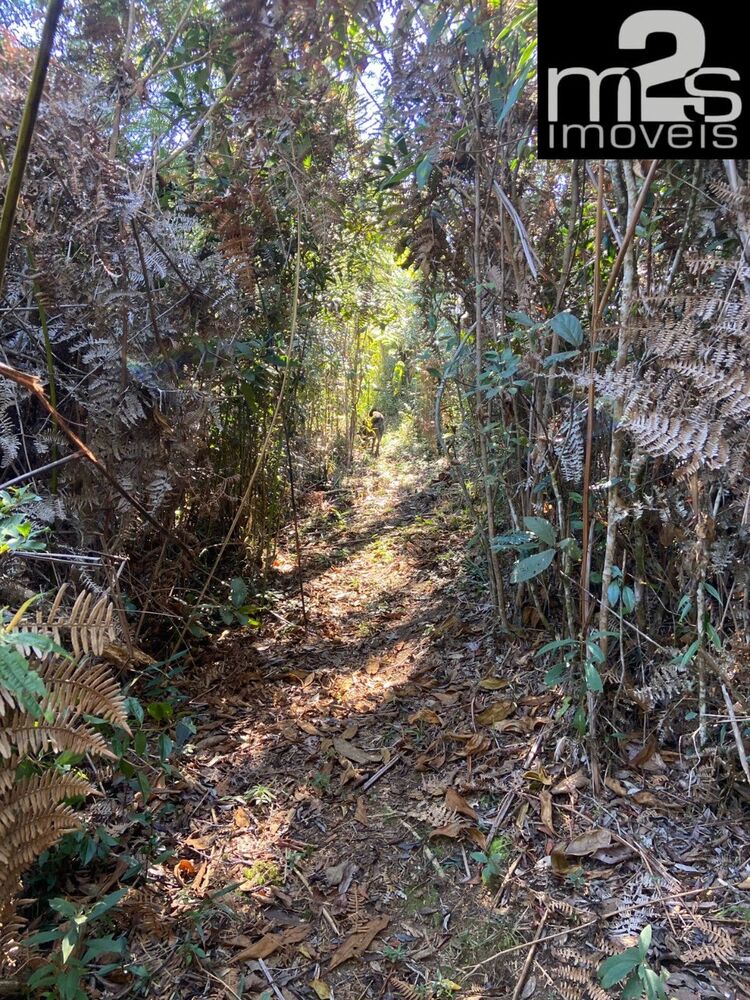 Sítio, 3 quartos - Foto 51