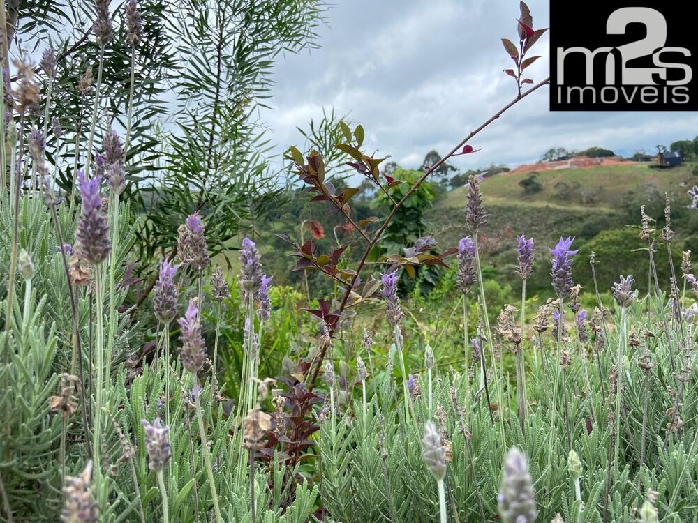 Sítio, 3 quartos - Foto 9