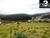 Terreno, 2000 m² - Foto 4