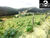 Terreno, 2000 m² - Foto 1