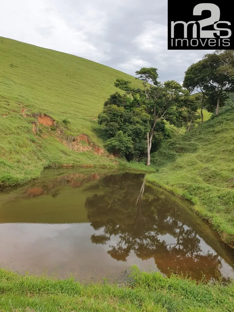 Fazenda, 4 quartos - Foto 6