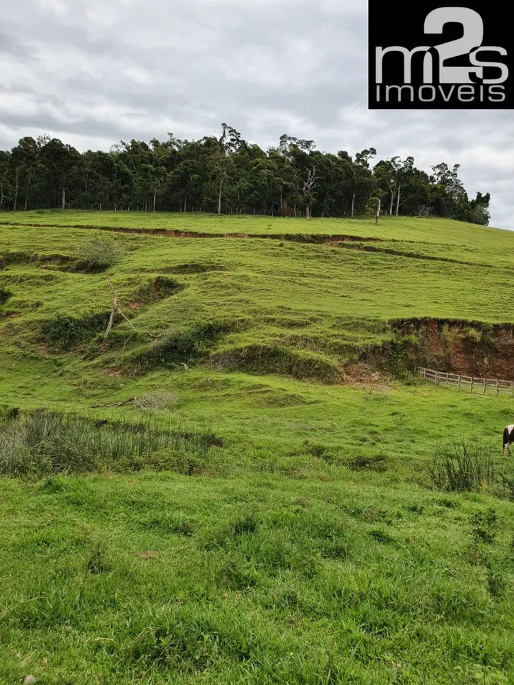 Fazenda, 4 quartos - Foto 4