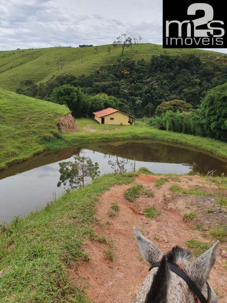 Fazenda à venda com 4 quartos - Foto 2