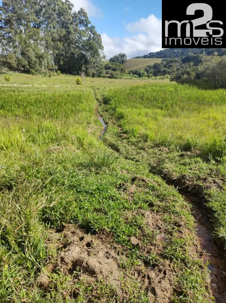 Fazenda, 4 quartos - Foto 8
