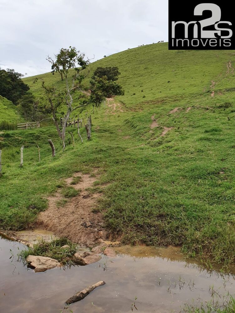 Fazenda à venda com 4 quartos - Foto 3
