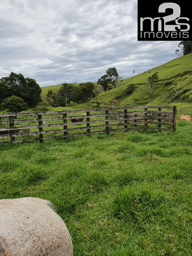 Fazenda, 4 quartos - Foto 3