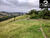 Sítio, 2 hectares - Foto 1