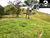 Sítio, 2 hectares - Foto 3