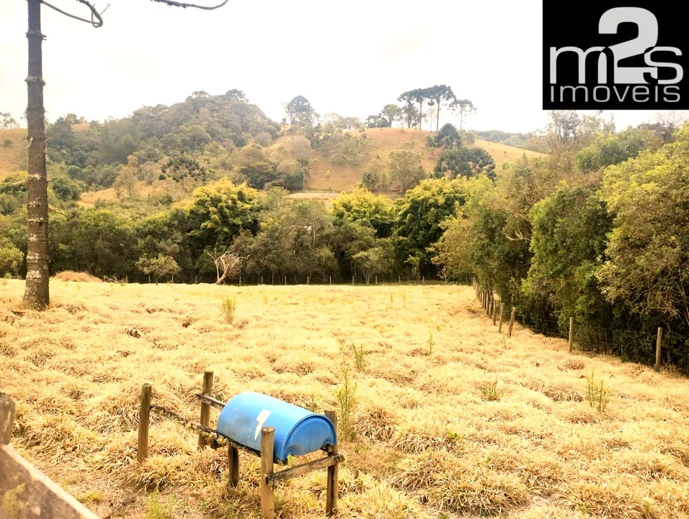 Chácara, 2 quartos, 2 hectares - Foto 16