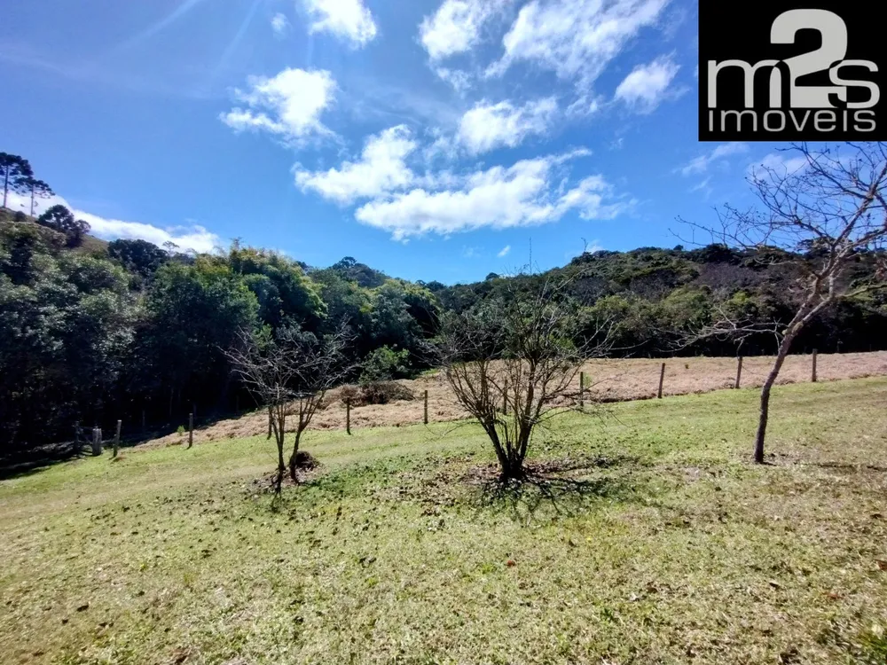Chácara, 2 quartos, 2 hectares - Foto 13