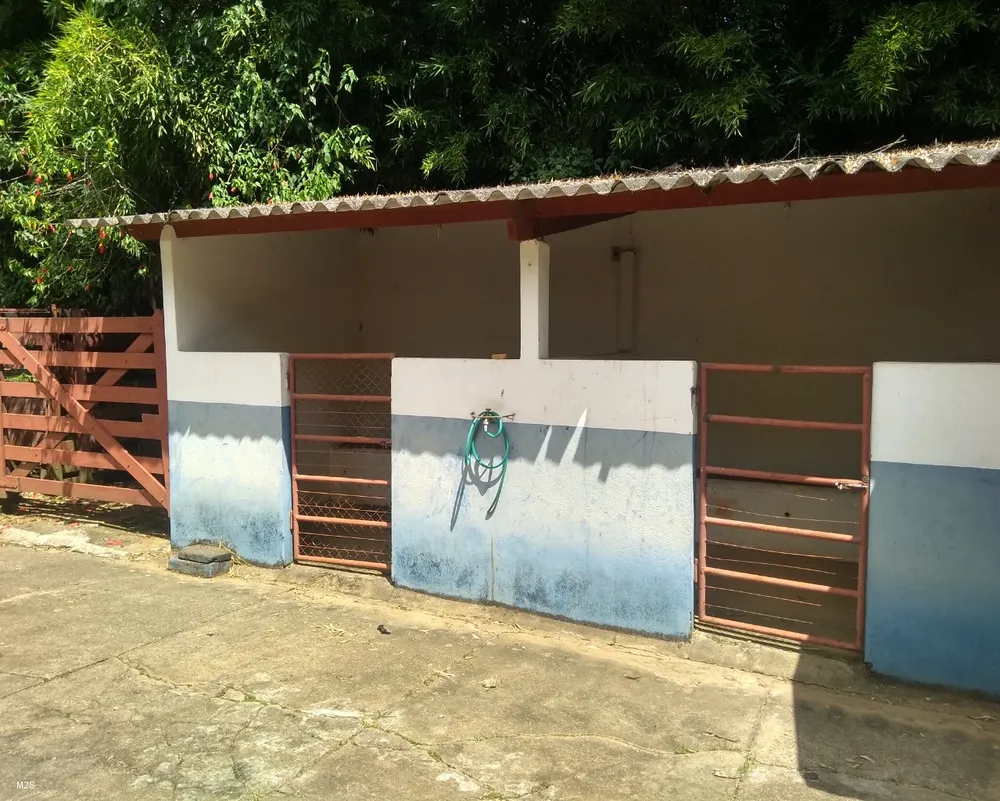 Sítio, 5 quartos, 10 m² - Foto 11