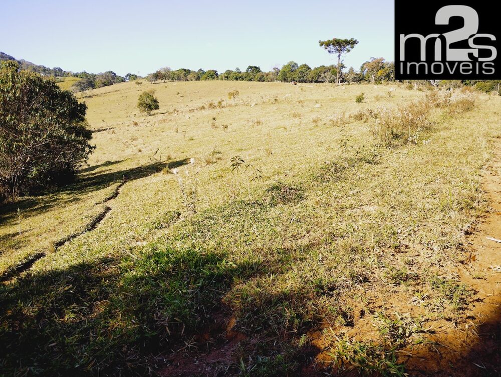 Fazenda à venda - Foto 2