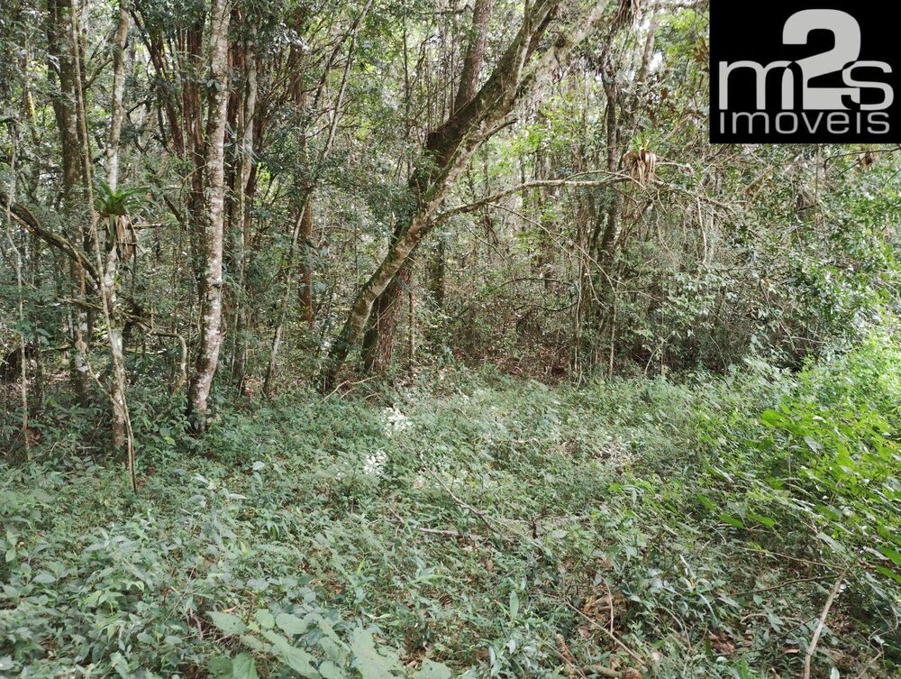 Sítio à venda, 40000m² - Foto 21