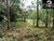 Sítio, 4 hectares - Foto 10