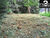 Sítio, 4 hectares - Foto 11