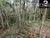 Sítio, 4 hectares - Foto 24
