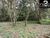 Sítio, 4 hectares - Foto 22