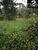 Sítio, 4 hectares - Foto 27