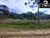 Sítio, 4 hectares - Foto 3
