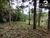 Sítio, 4 hectares - Foto 13