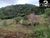 Sítio, 4 hectares - Foto 1