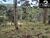 Sítio, 4 hectares - Foto 23