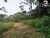 Sítio, 4 hectares - Foto 31