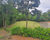 Chácara, 5 quartos - Foto 2