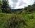 Fazenda - Foto 1
