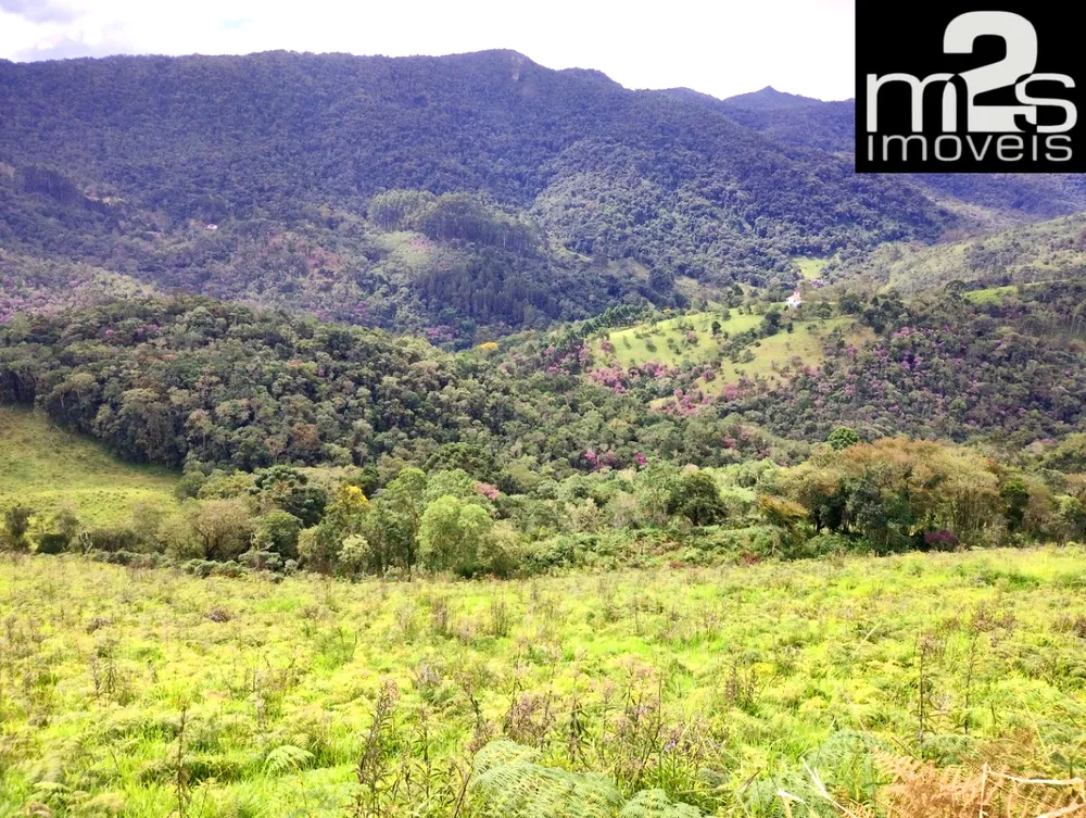 Terreno, 4 hectares - Foto 14