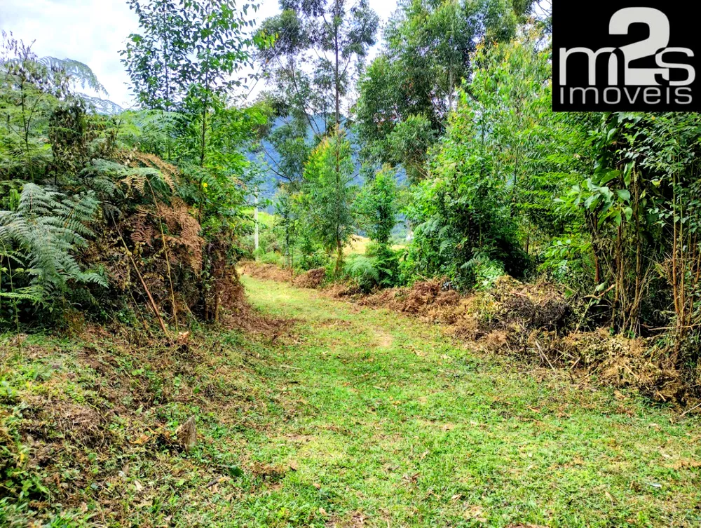 Terreno, 4 hectares - Foto 13