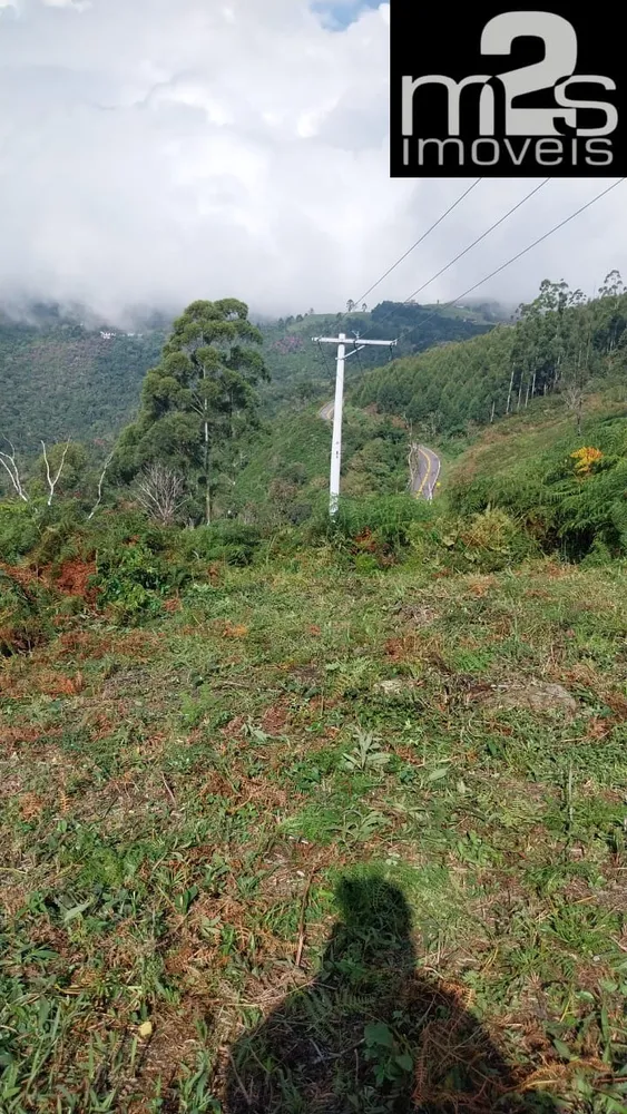 Terreno, 4 hectares - Foto 19