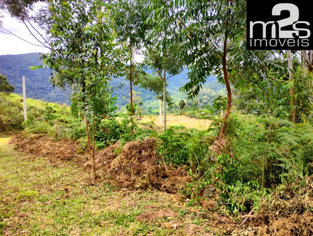 Terreno, 4 hectares - Foto 12