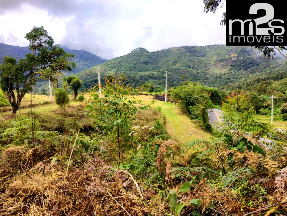 Terreno, 4 hectares - Foto 11