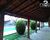 Chácara, 5 quartos - Foto 2
