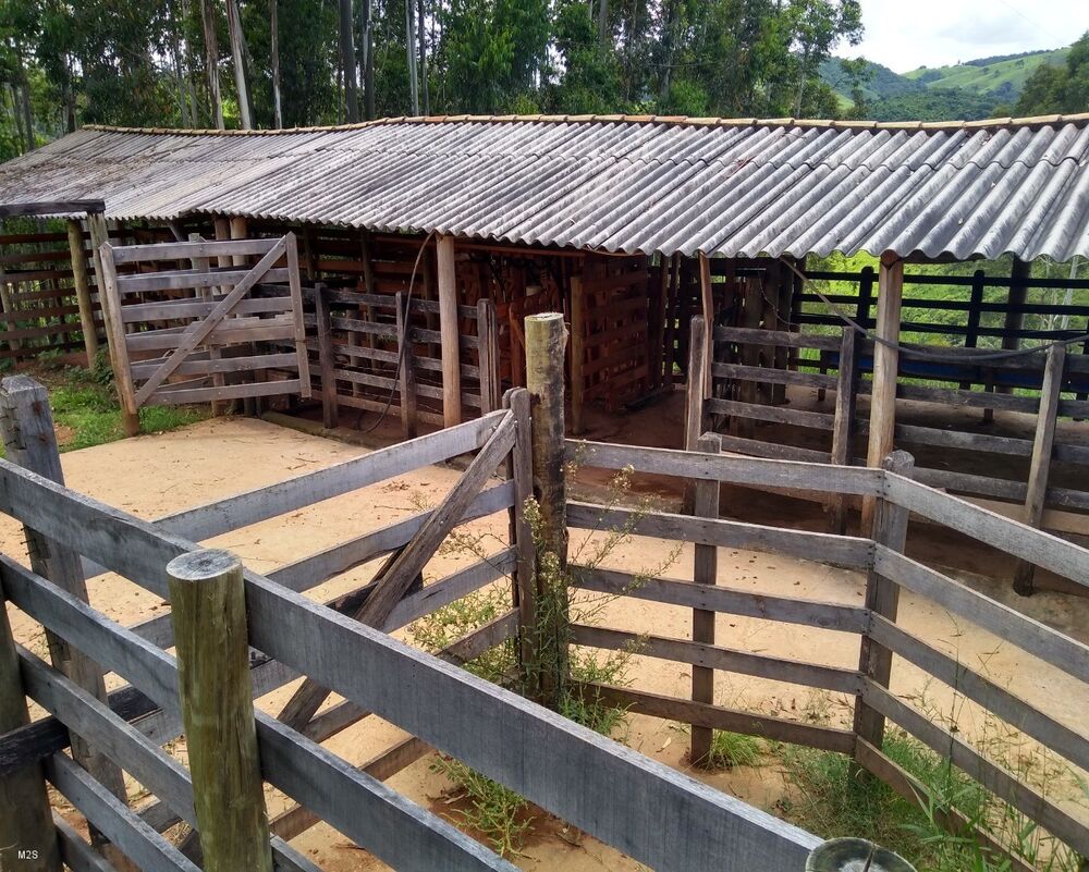 Sítio, 3 quartos, 4 m² - Foto 17